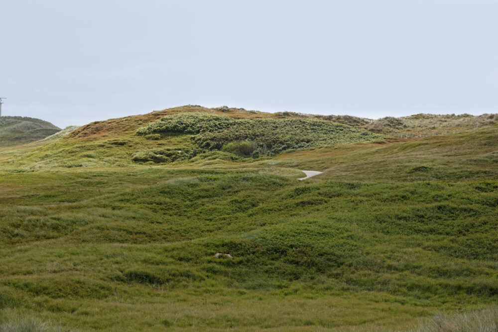 Noordduinen