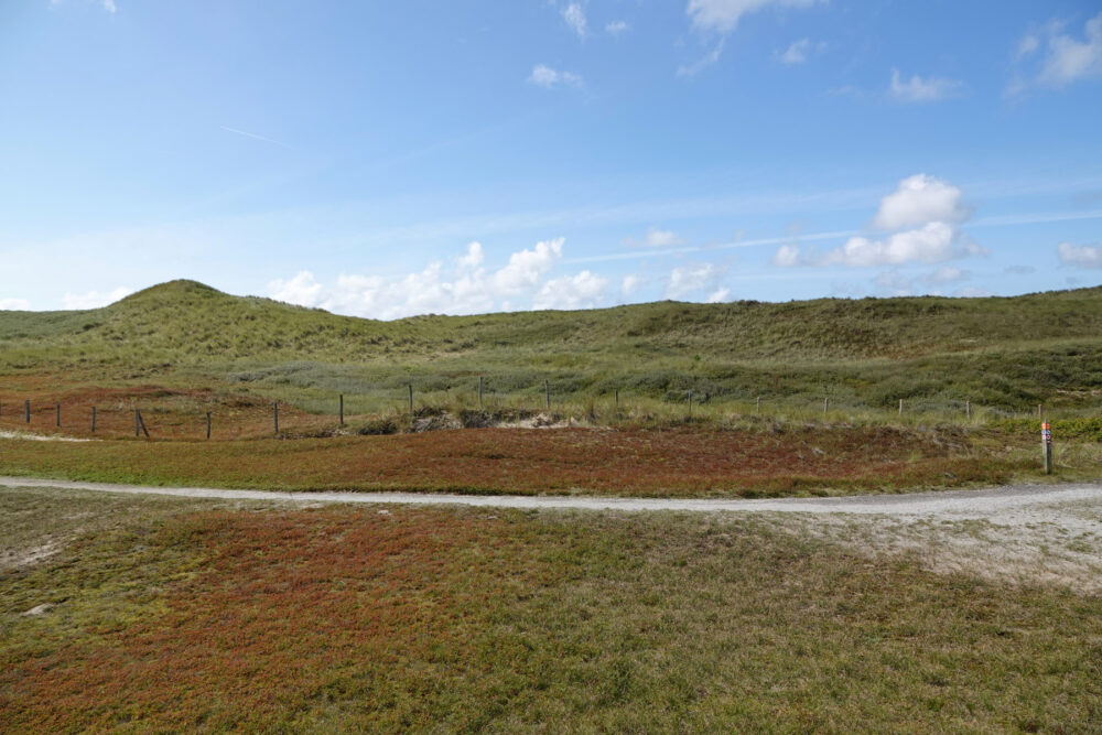 Noordduinen