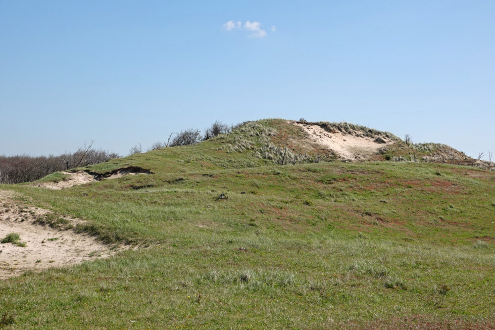 Noordhollands Duinreservaat