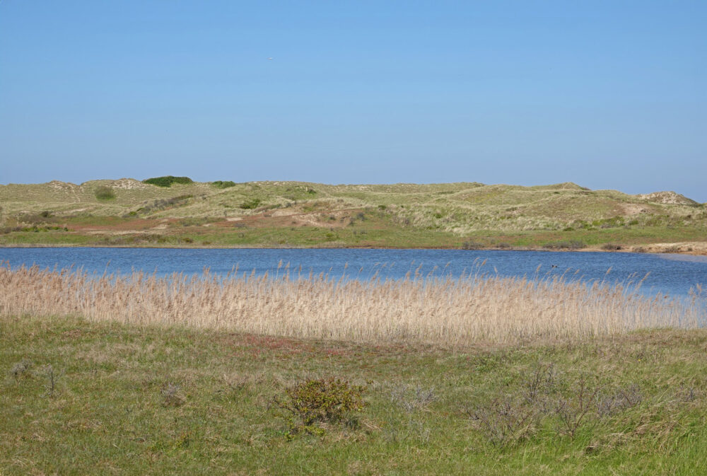 Noordhollands Duinreservaat