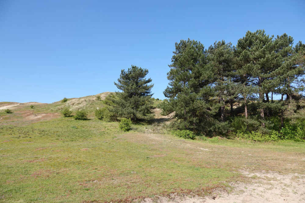 Noordhollands Duinreservaat