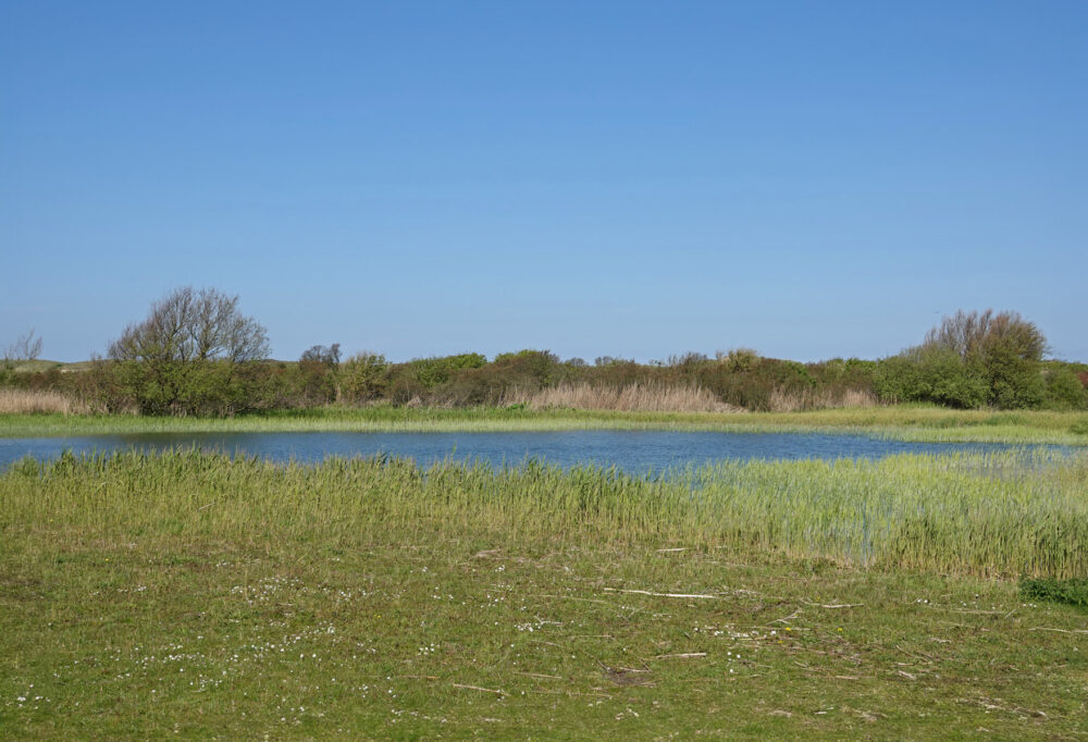 Noordhollands Duinreservaat