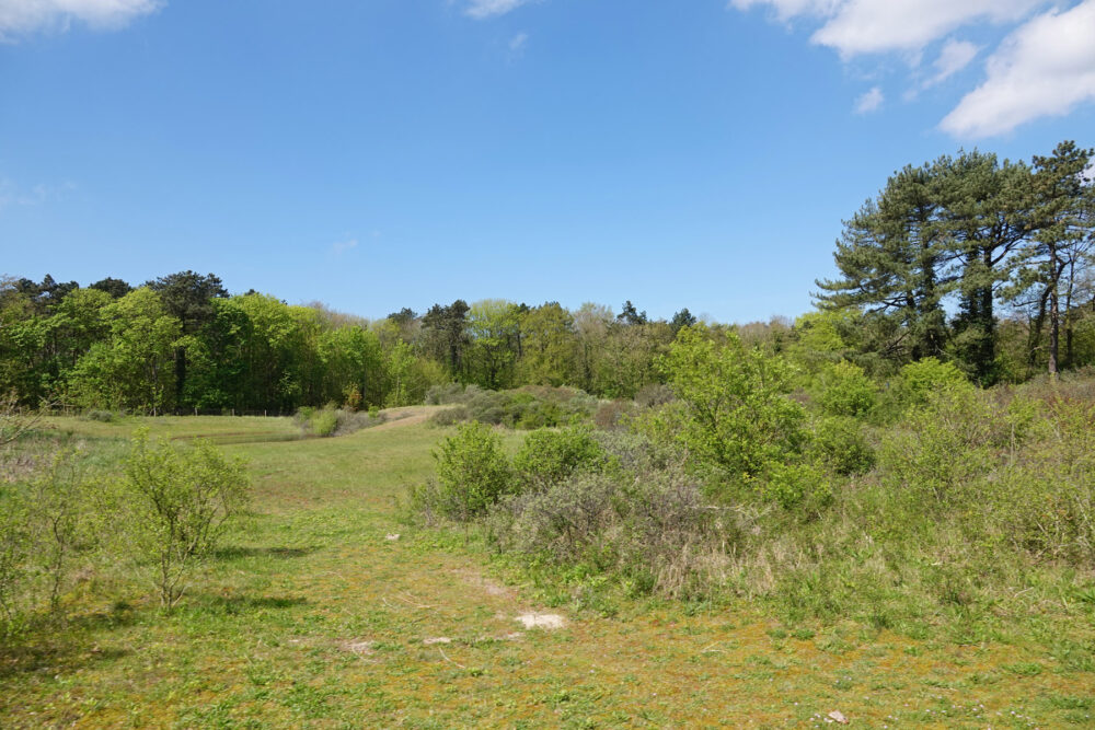 Noordhollands Duinreservaat
