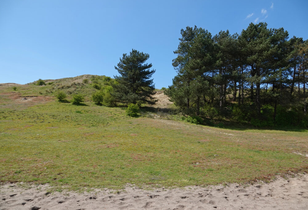 Noordhollands Duinreservaat