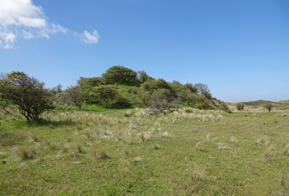 Noordhollands Duinreservaat
