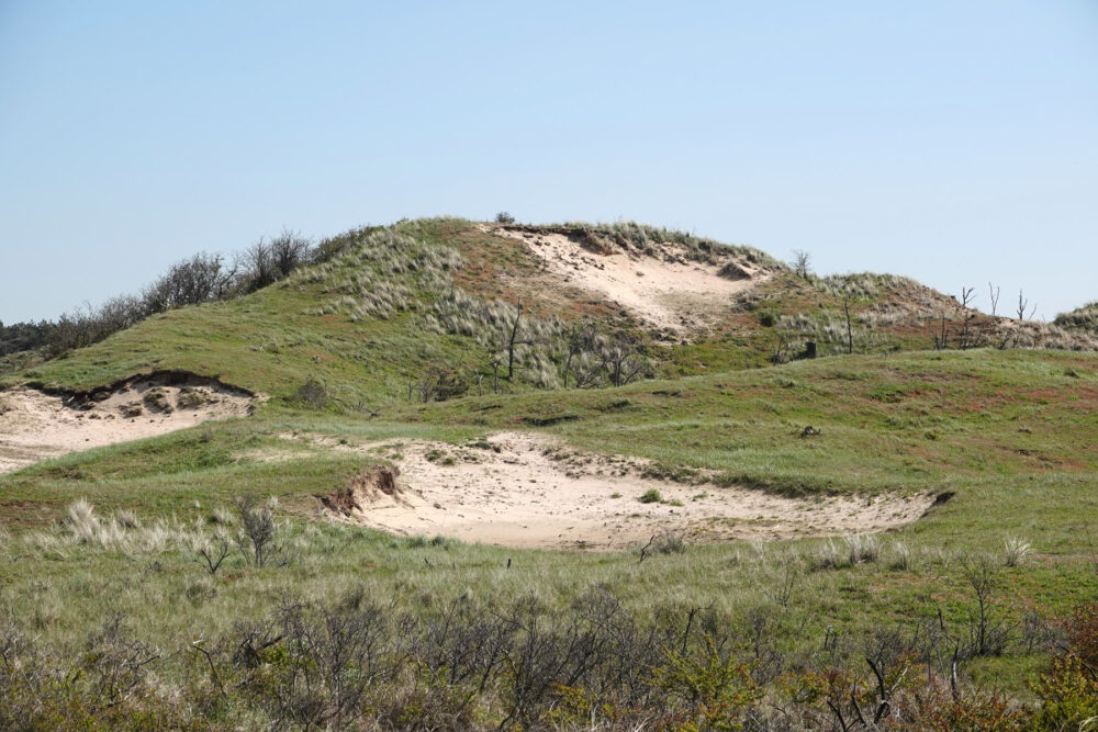 Noordhollands Duinreservaat