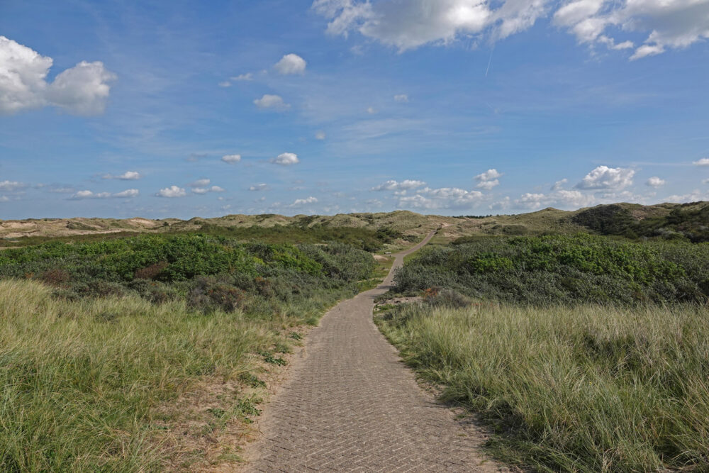 Noordhollands Duinreservaat