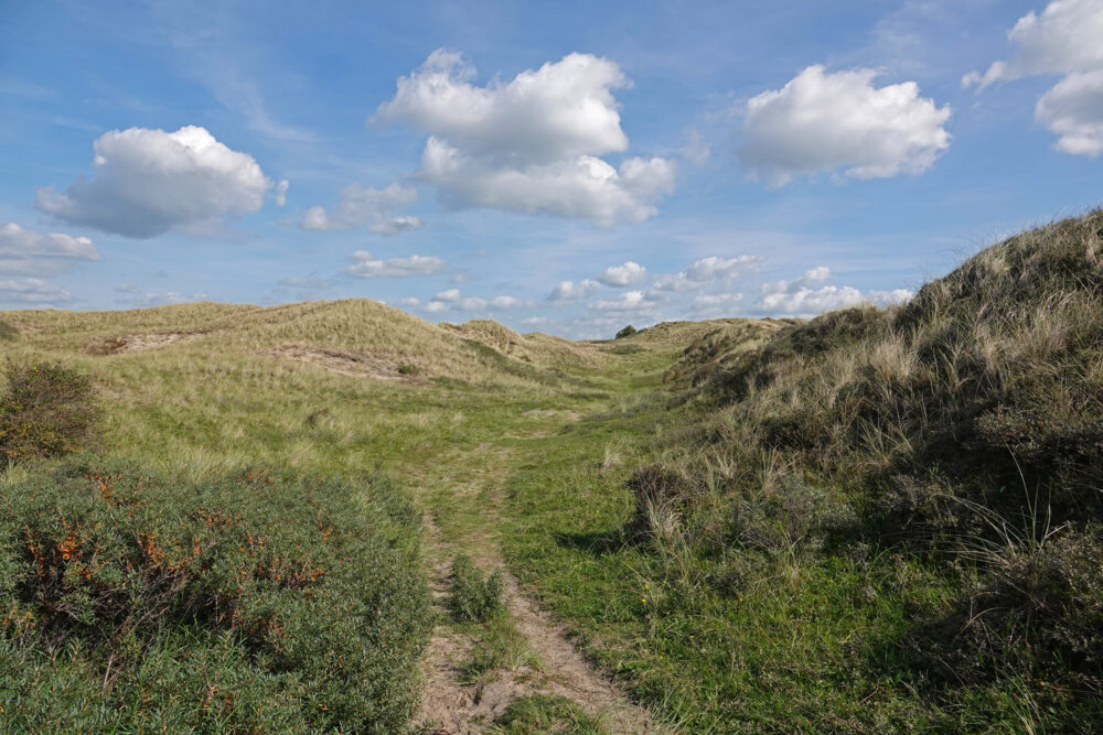Noordhollands Duinreservaat