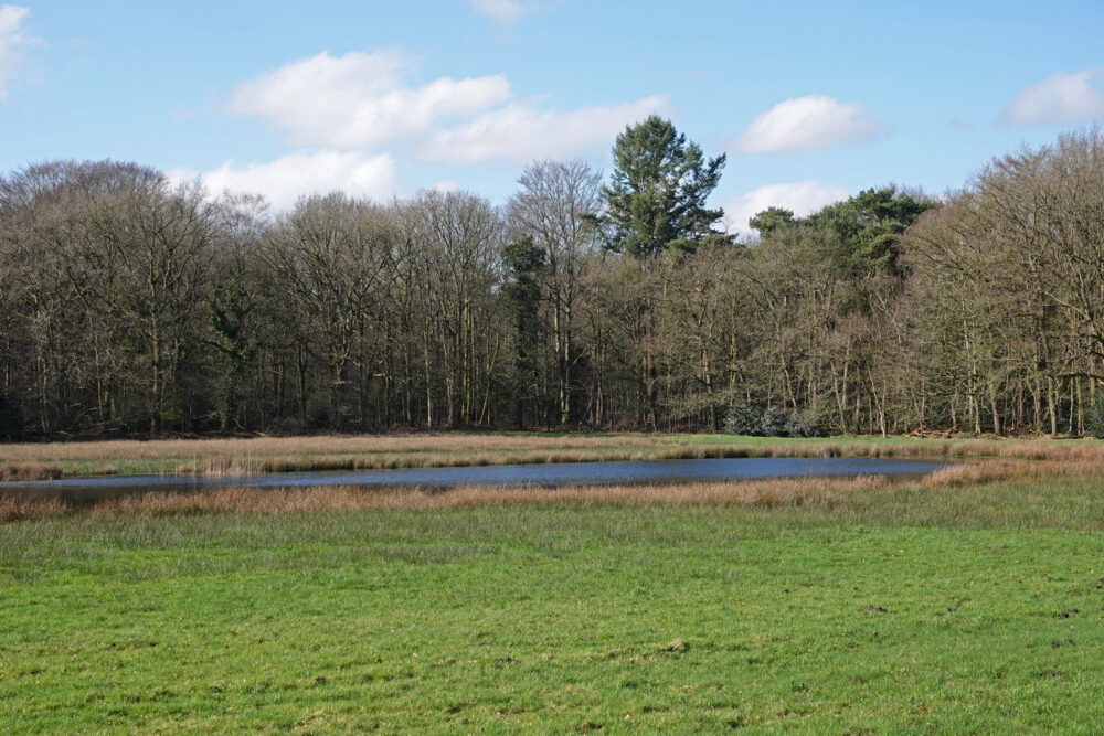Noordlaarderbos