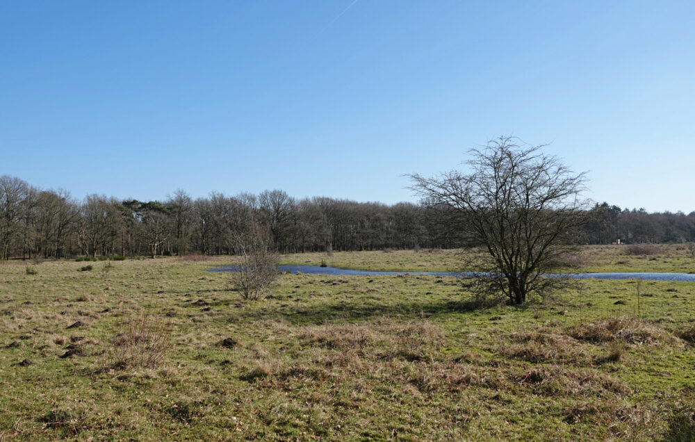 Noordlaarderbos