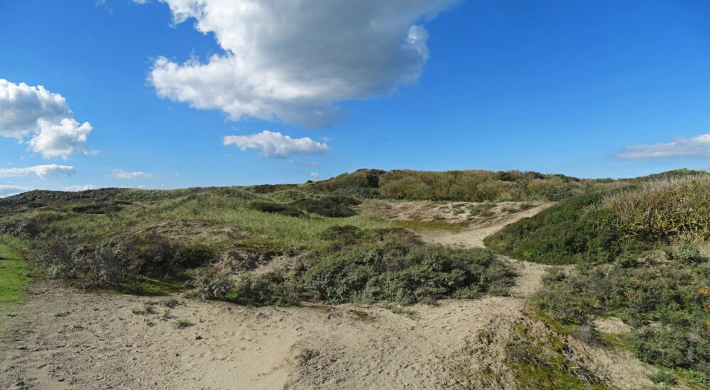 Noordwijkse Duinen