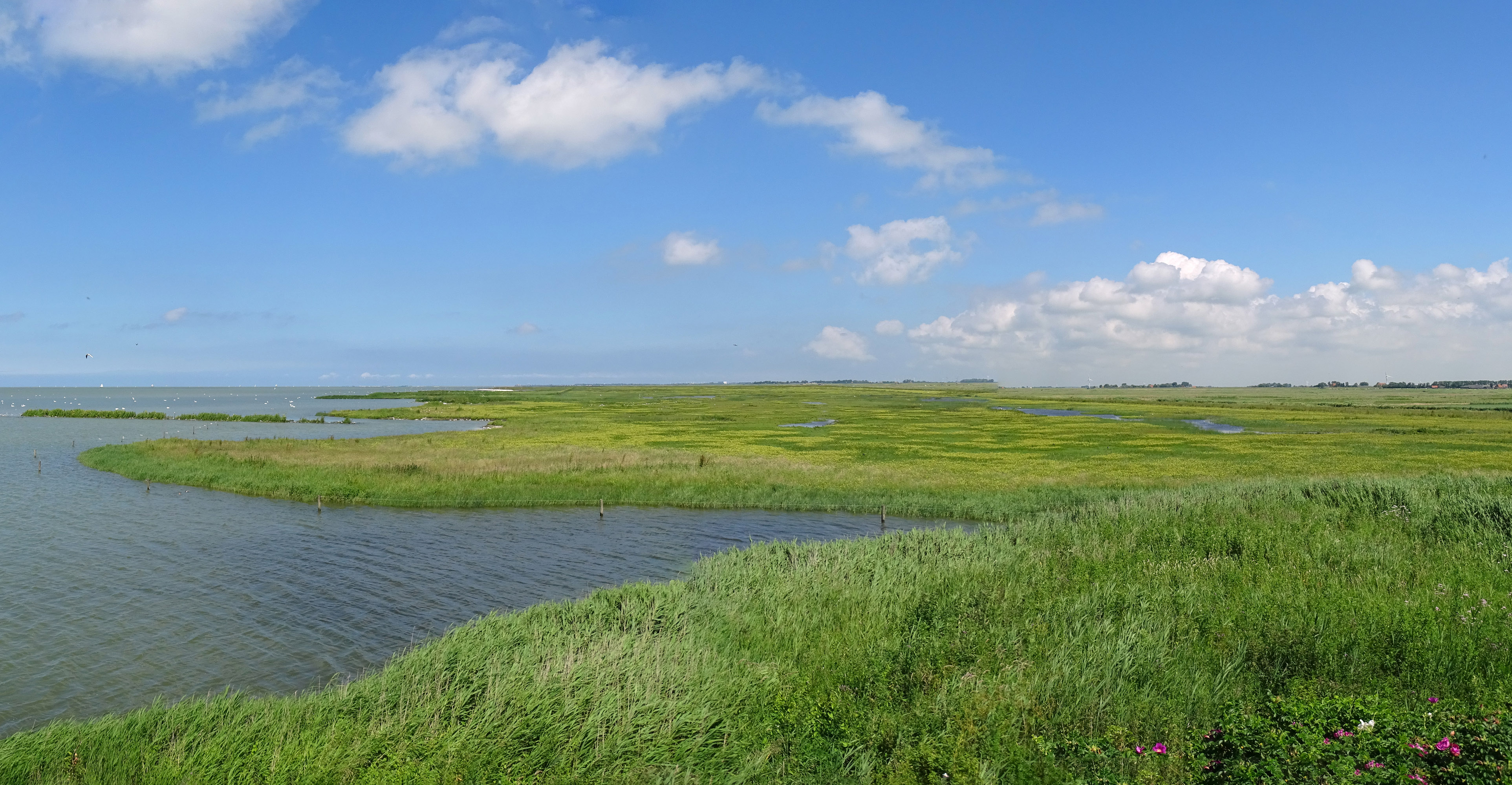 Warkummerwaard (Friesland)