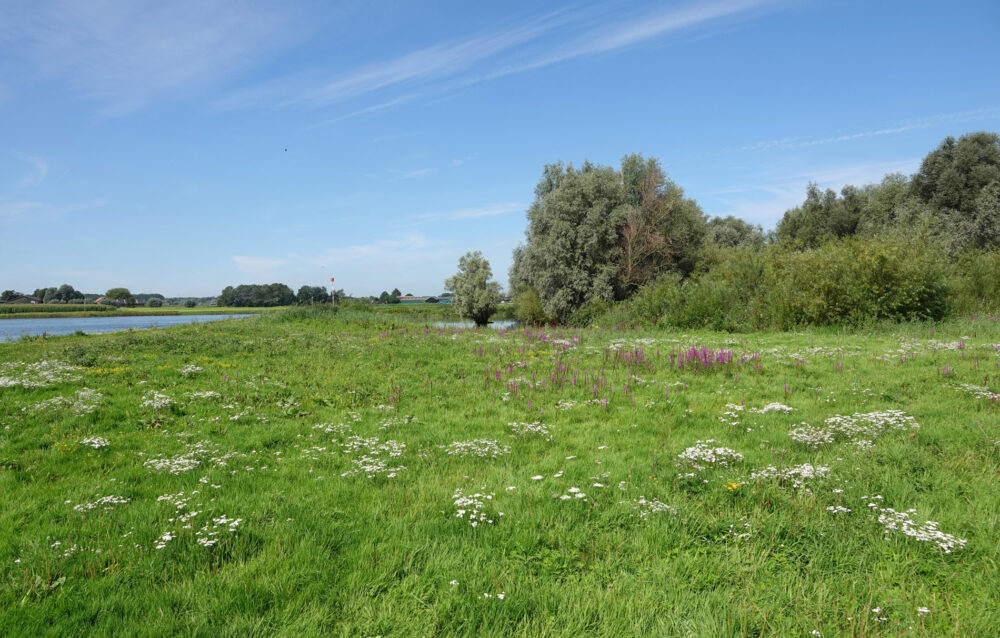 Oldenelerwaarden (IJsselvallei)