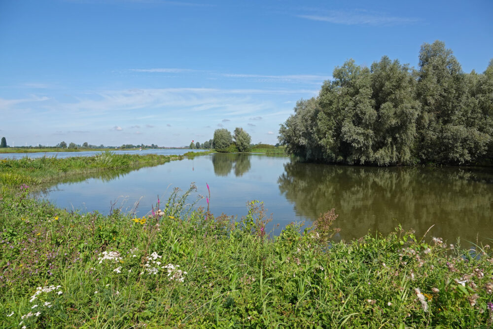 Oldenelerwaarden (IJsselvallei)