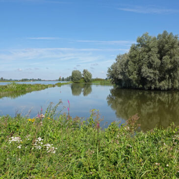 Oldenelerwaarden (IJsselvallei)