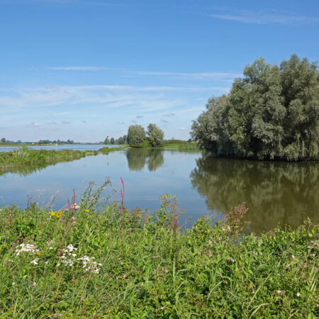 Oldenelerwaarden (IJsselvallei)