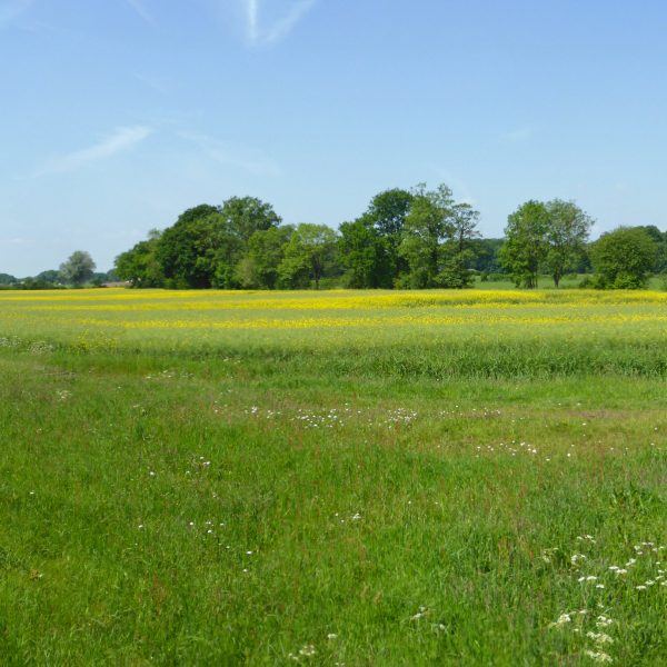 Schipbeek (Overijssel)