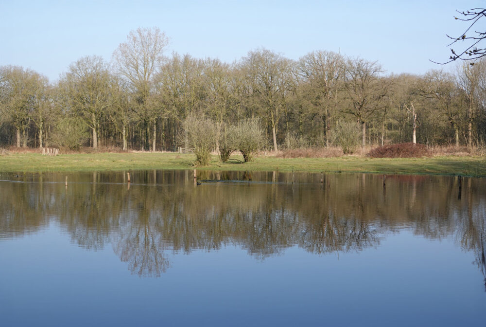 Onder water staande graslanden De Krang