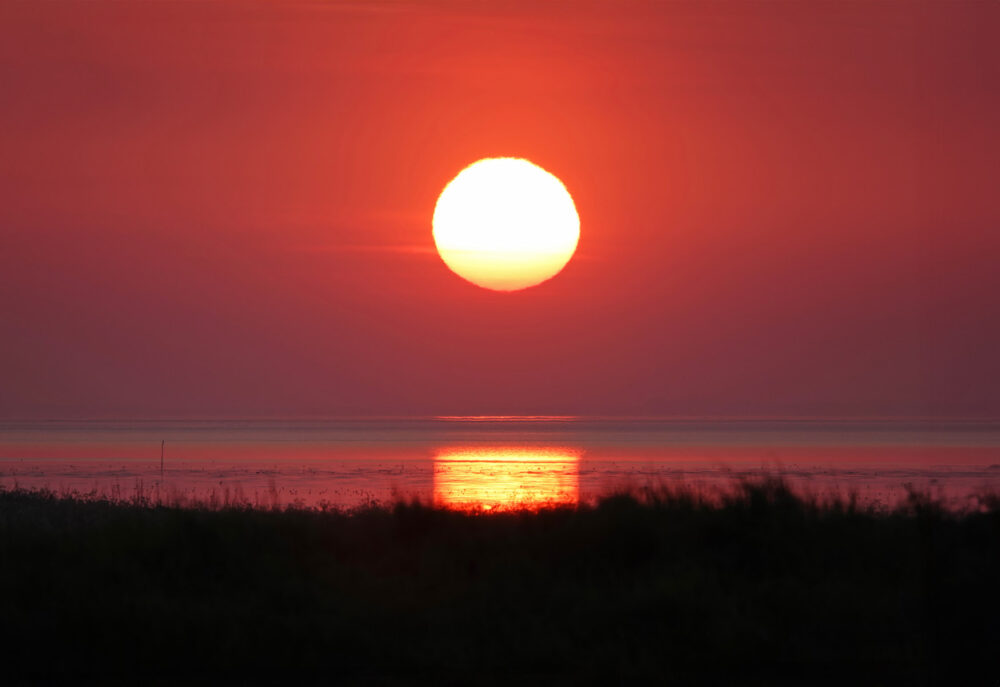 Ondergaande zon op wad bij Wieringen