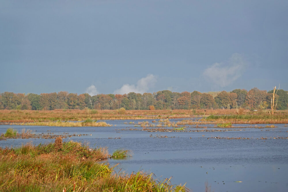 Onlanden in de herfst