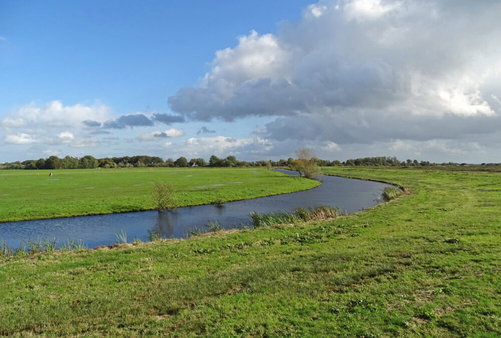 Onlanden in de herfst