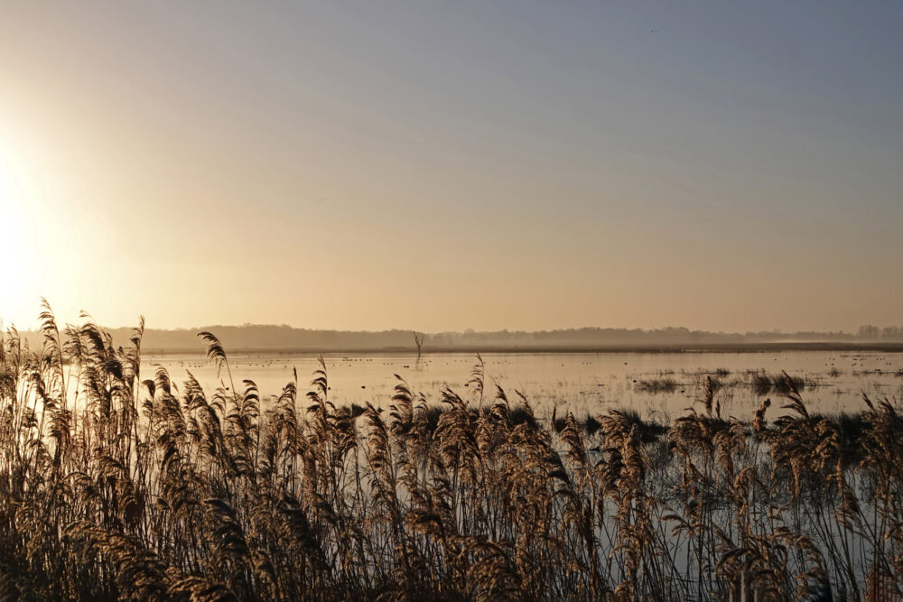 Onlanden in de winter (Eelderdiep)