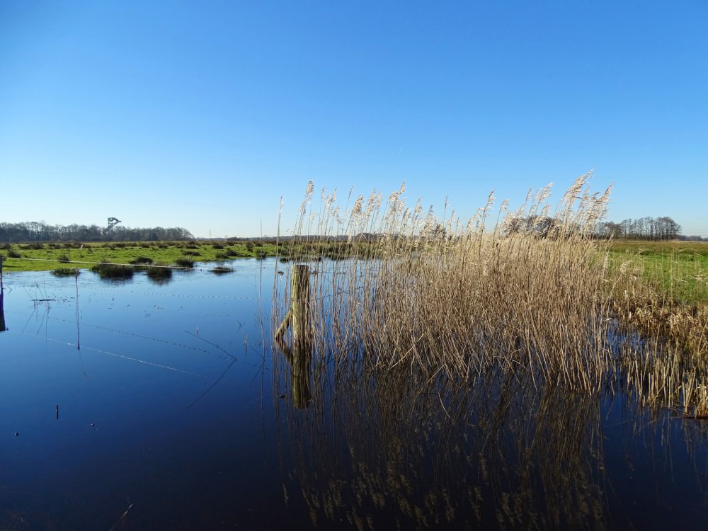 Onlanden na veel regen