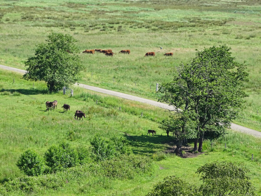 Onlanden vanuit de uitkijktoren