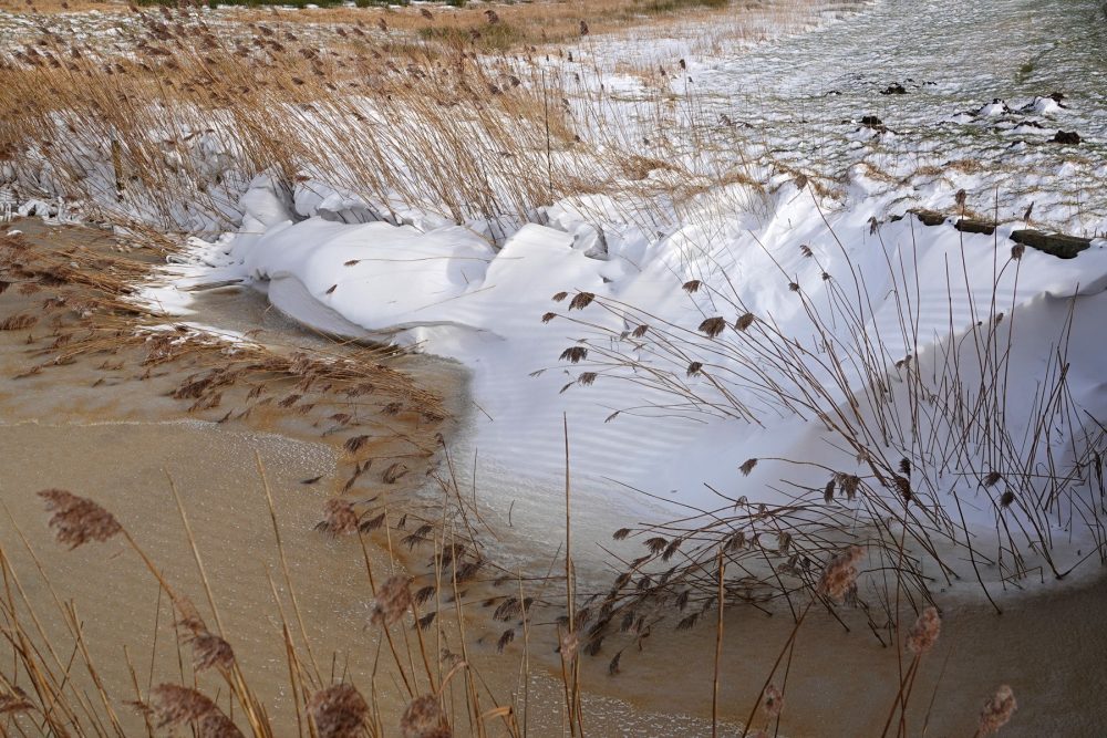 Onlanden winter (langs Gouw)