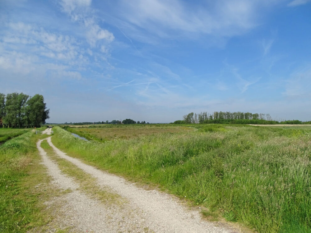 Onlandse Dijk (Matslootgebied) in het voorjaar