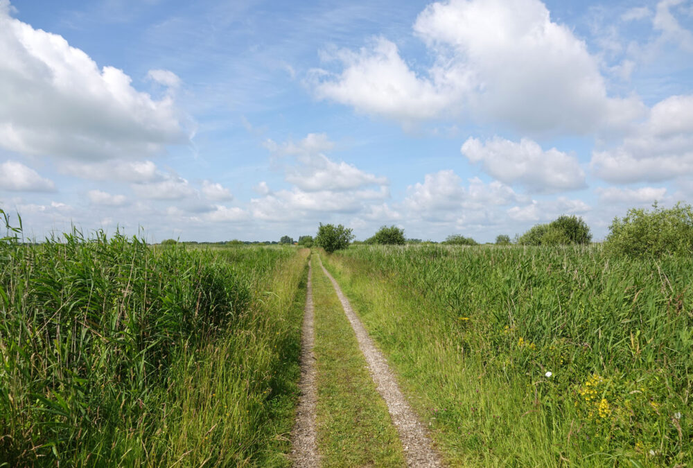 Onlandse Dijk (Matslootgebied) in het voorjaar