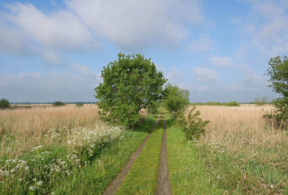 Onlandse Dijk (Matslootgebied) in het voorjaar