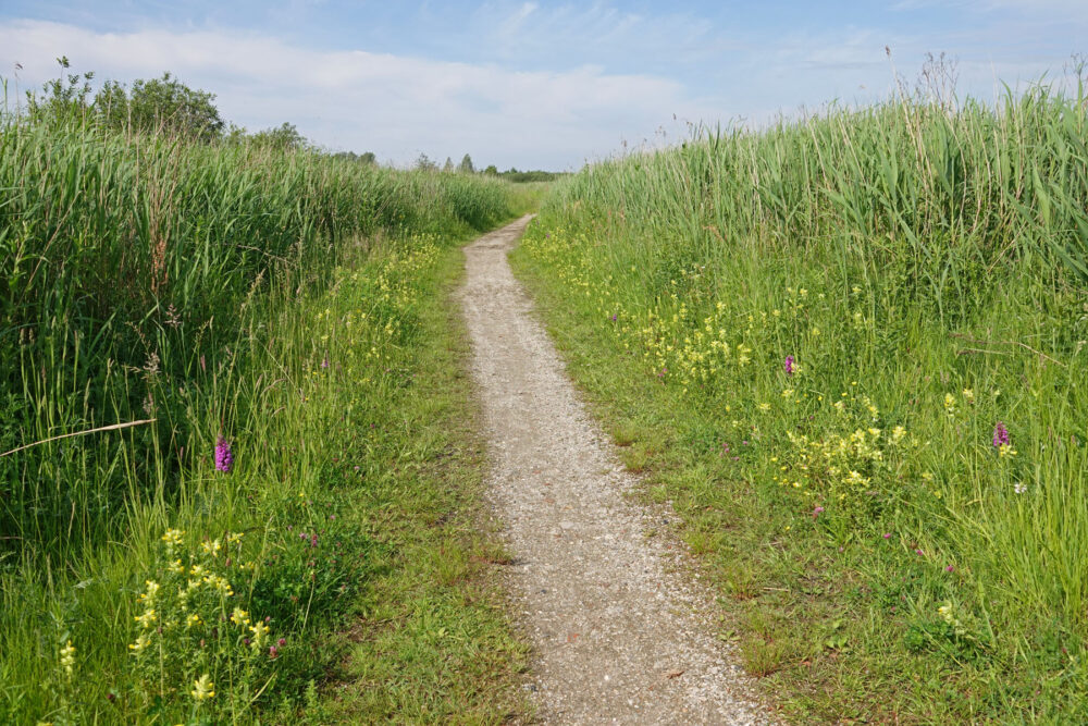 Onlandse Dijk (Matslootgebied) in het voorjaar