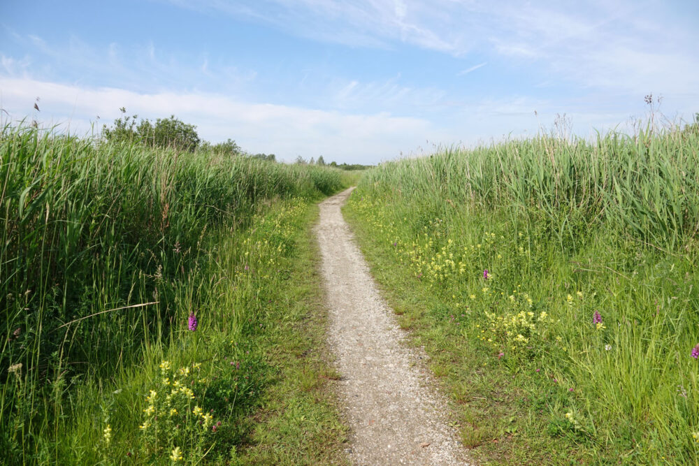 Onlandse Dijk (Matslootgebied) in het voorjaar