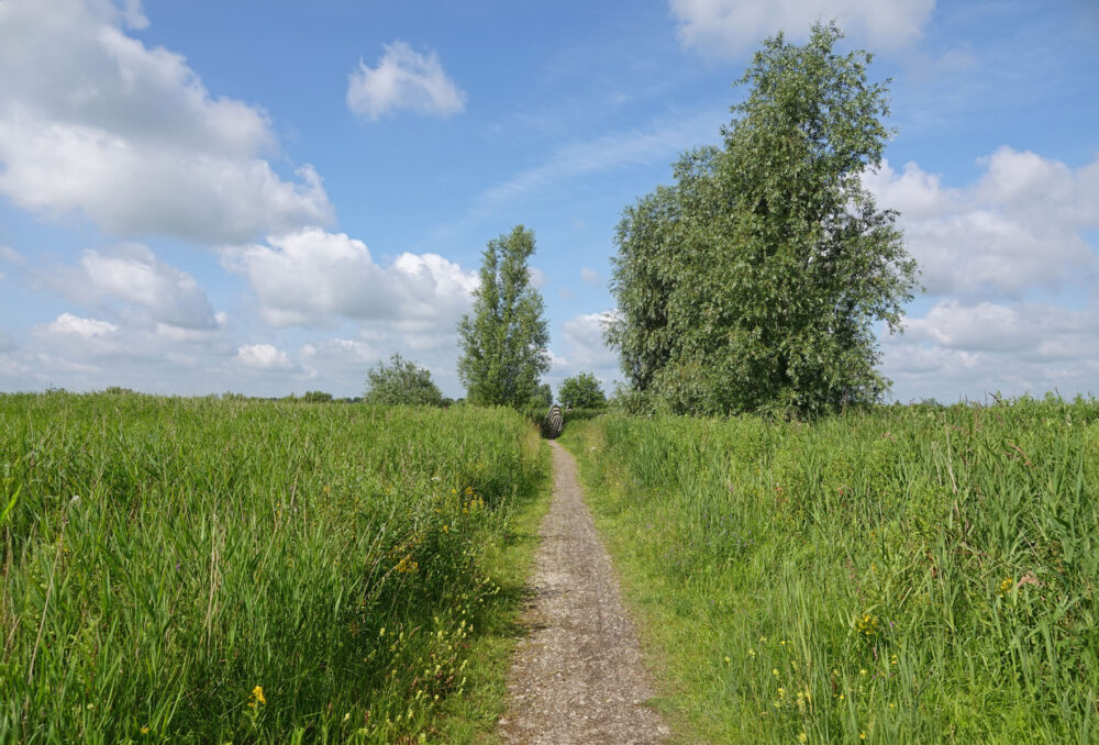 Onlandse dijk in het Matslootgebied