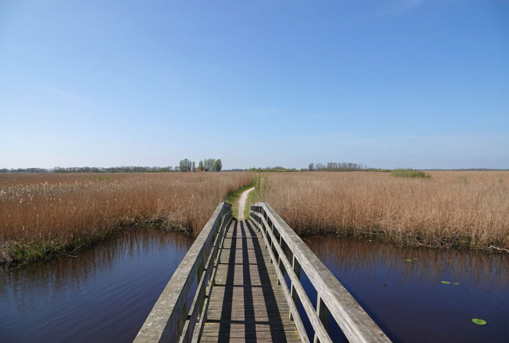 Onlandse dijk in het Matslootgebied