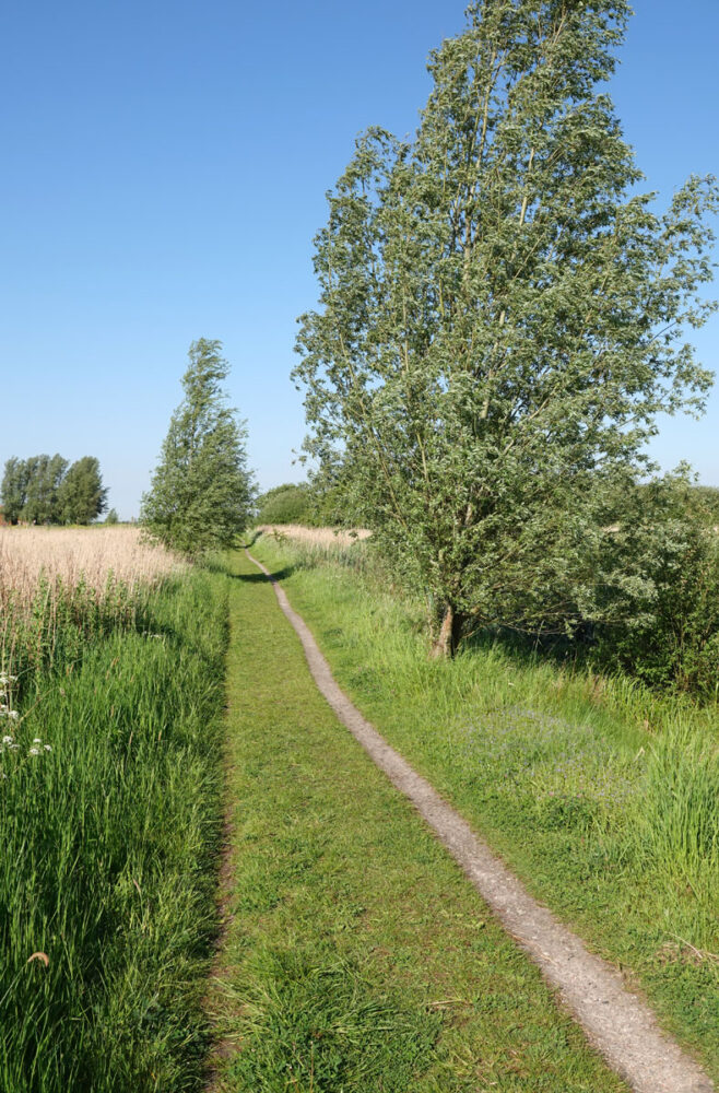 Onlandse dijk in het Matslootgebied