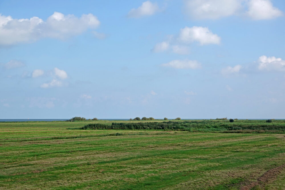Oosterkoog (onderdeel Zeevang)