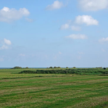 Oosterkoog (onderdeel Zeevang)