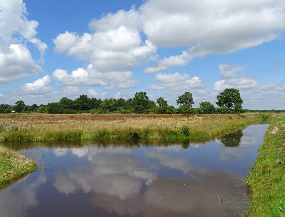 Oostervoortsche diep in de zomer