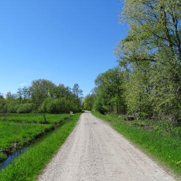Oostpolder (Zuidlaardermeergebied)