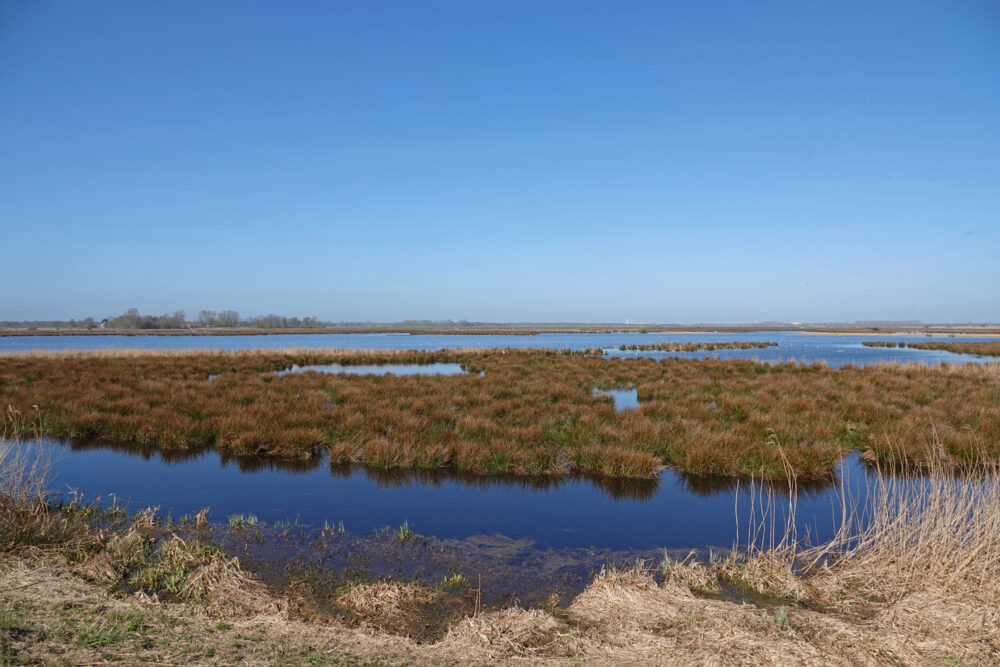 Oostpolder (Zuidlaardermeergebied)
