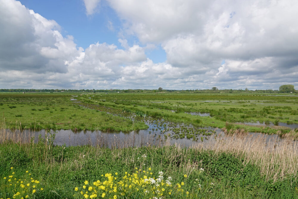 Oostpolder (Zuidlaardermeergebied)
