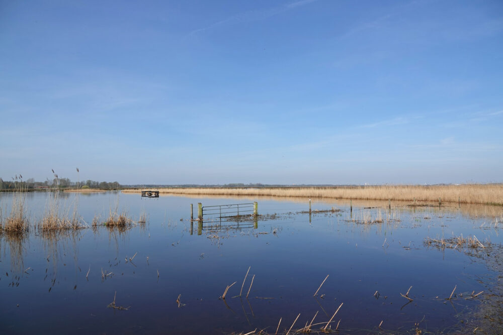 Oostrpolder in voorjaar
