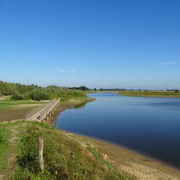 Ossenwaard (IJsselvallei)