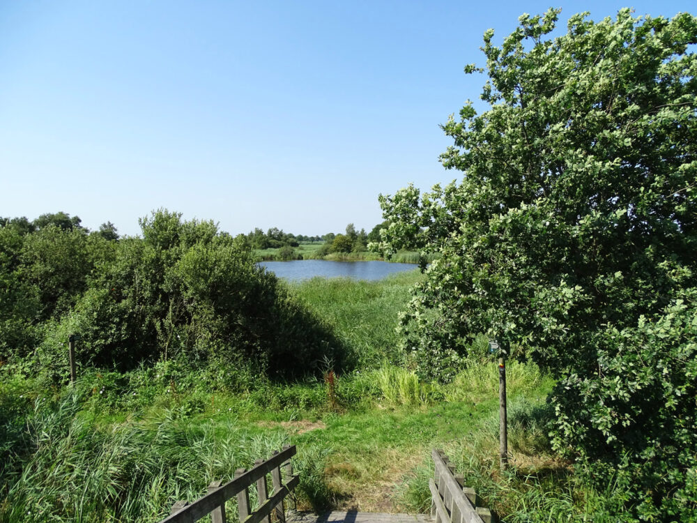 Ottema Wiersmareservaat (Bûtenfjild)