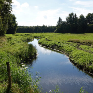 Oude Diep (Drenthe)