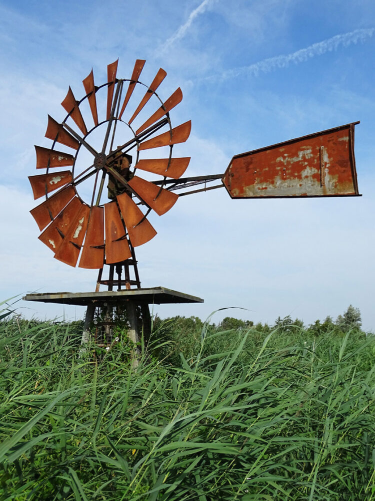 Oude windmolen Rottige Meente