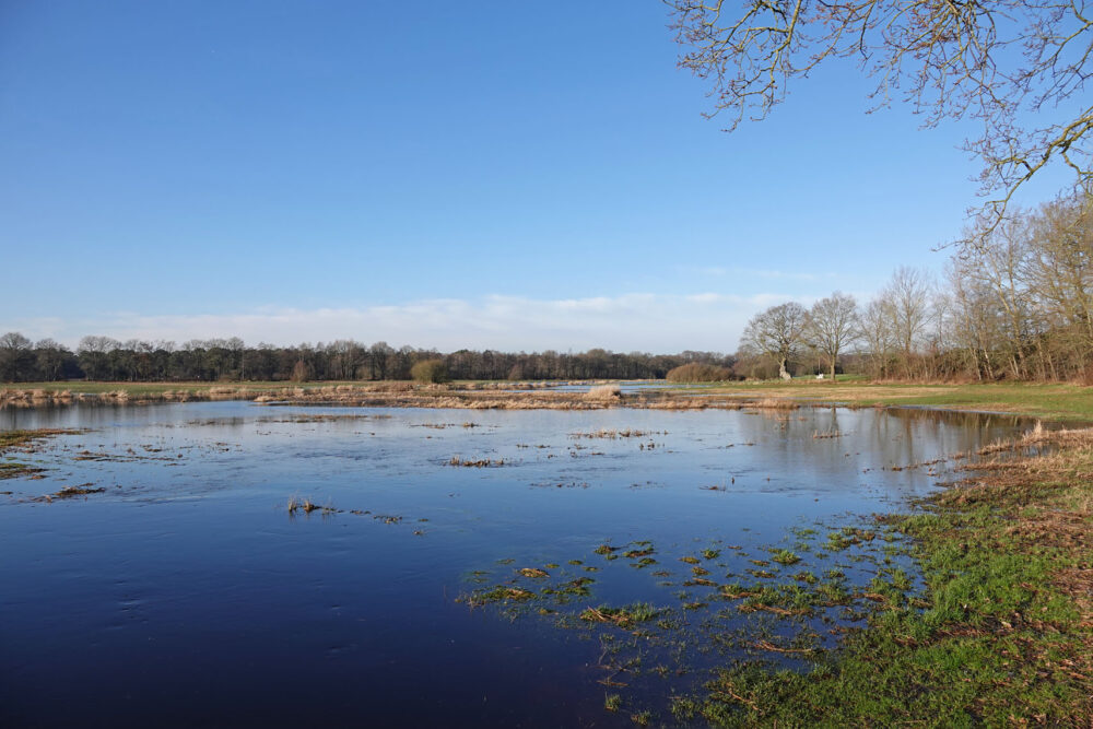 Oudemolensche Diep buiten de oevers (NP Drentsche Aa)