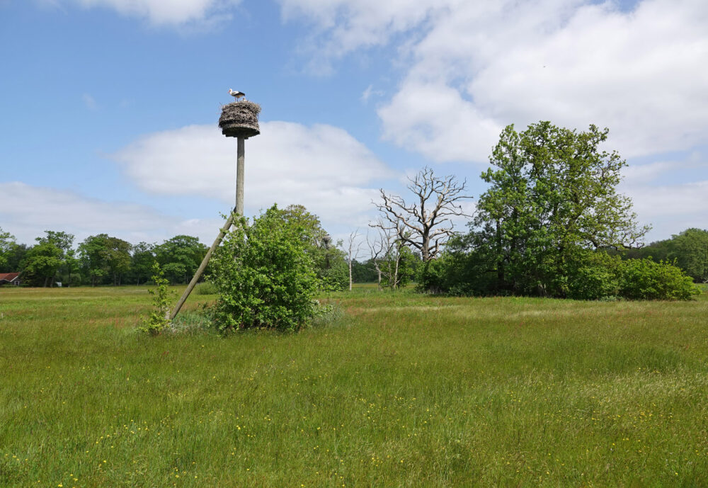 Oudemolensche Diep in het voorjaar
